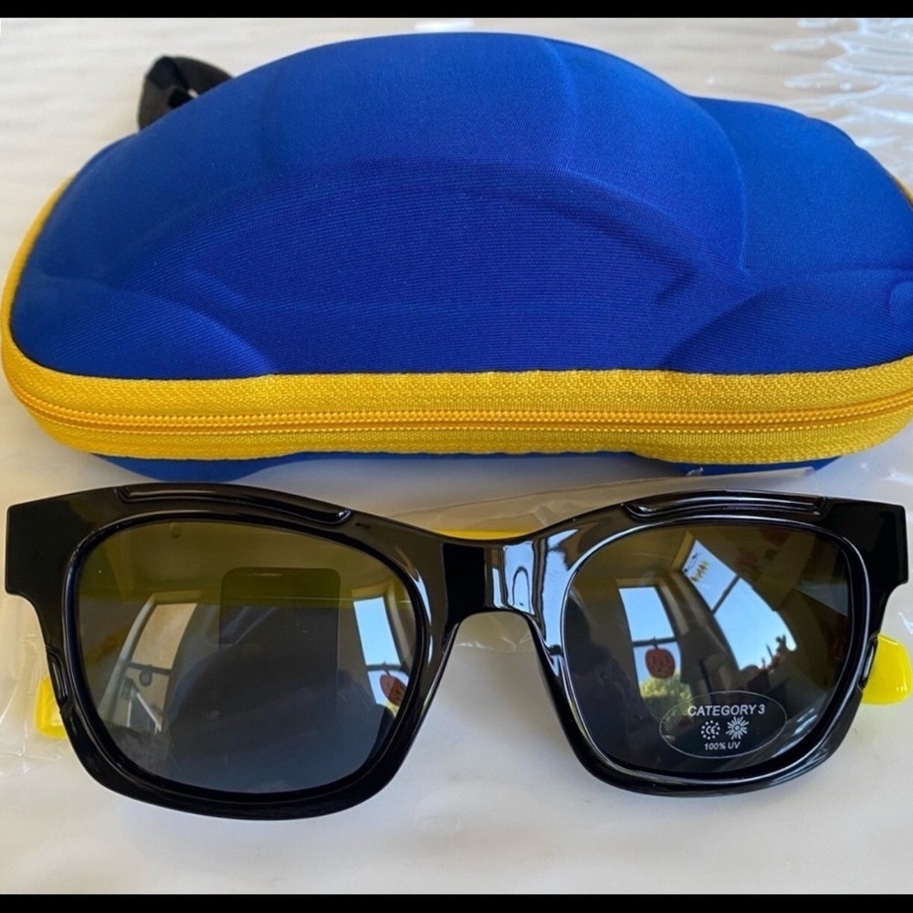 Kids Sunglasses and Car Case